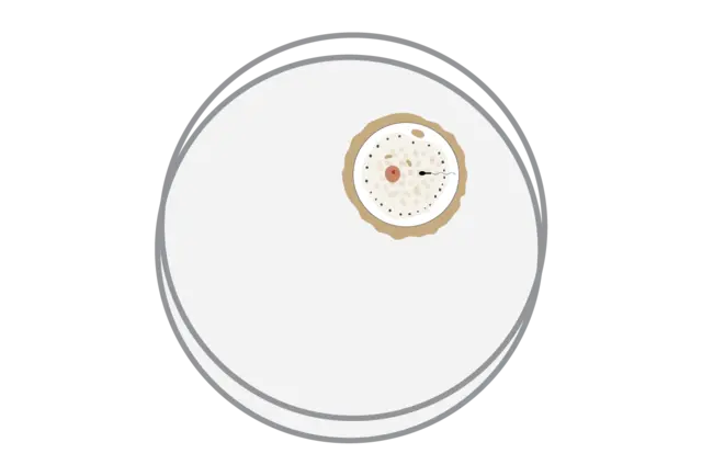 Service · Embryo creation illustration