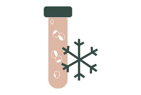 Service · Shared egg freezing illustration