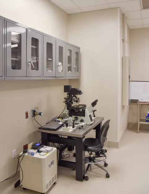 ICSI micromanipulation station with high-magnification microscope.