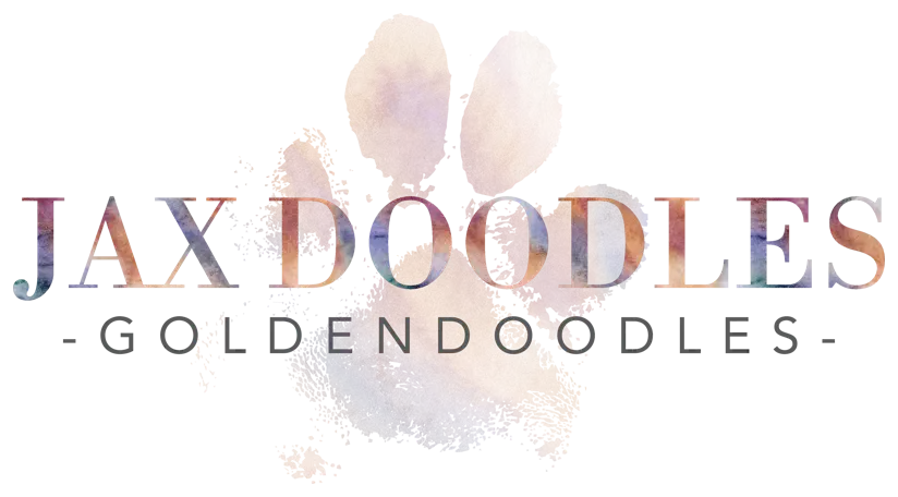 Jax Doodles logo