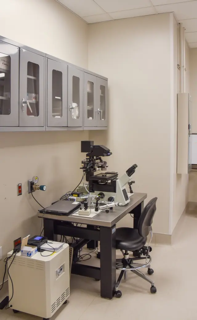 ICSI micromanipulation station with high-magnification microscope.